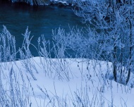 冬天雪景色图片