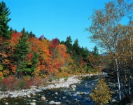 秋天的小溪图片
