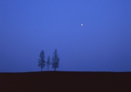 平原夜色天空美景图片