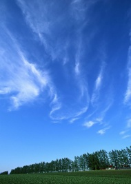 草原蓝天天空美景图片