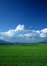 田野蓝天天空美景图片