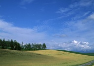 蓝天草地天空美景图片