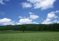 蓝天白云草地天空美景图片