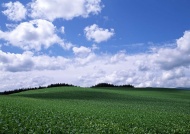 绿草蓝天天空美景图片