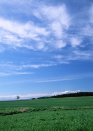 蓝天绿地天空美景图片