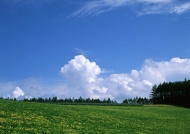 草原天空天空美景图片