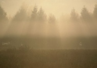 清晨大雾天空美景图片