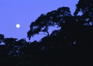 月色夜景天空美景图片