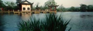 园林湖凉亭林子旅游风光摄影图片