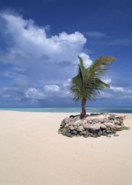 马尔代夫沙滩旅游风光摄影图片