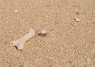 海螺旅游风光摄影图片