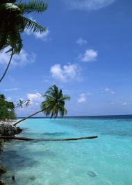 马尔代夫海滩景观旅游风光摄影图片