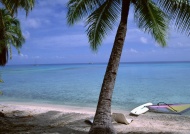 马尔代夫海滩景观旅游风光摄影图片