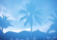 晨雾椰子树房屋旅游风光摄影图片