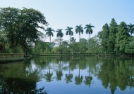 绿色树林河塘旅游风光摄影图片