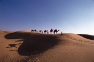 沙漠骆驼队旅游风光摄影图片