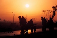 夜暮骆驼旅游风光摄影图片