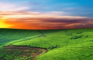 绿色田野夕阳图片