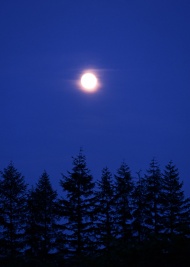 田野夜景图片