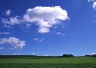 田野蓝天白云图片