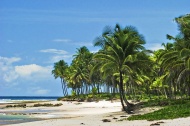 滨海椰林大海风景风光图片