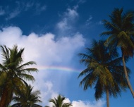 夏威夷的蓝天大海风景风光图片