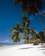 夏威夷白色沙滩大海风景风光图片