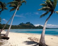 海滩椰树大海风景风光图片
