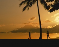 夏威夷海岸夕阳风景大海风景风光图片