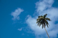 夏威夷的蓝天大海风景风光图片