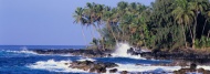 大海椰树岛大海风景风光图片