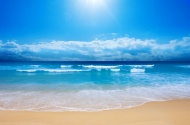 海滩贝壳珍珠大海风景风光图片