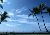 海滩椰树大海风景风光图片