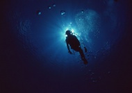潜水大海风景风光图片