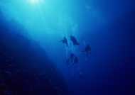 海底探索大海风景风光图片