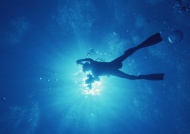 潜水运动大海风景风光图片