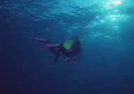 深海潜水大海风景风光图片