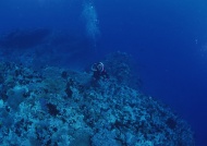 潜水运动大海风景风光图片